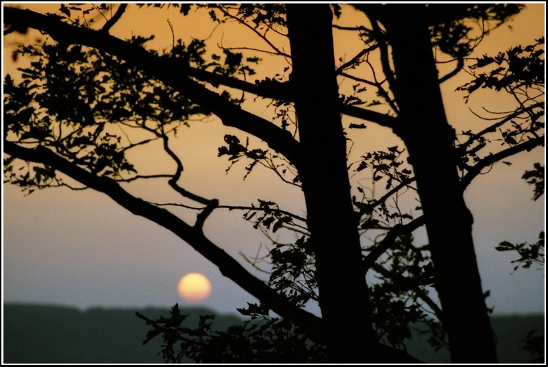 Sonnenuntergang bei Augustusburg - aufgenommen im September 2006.