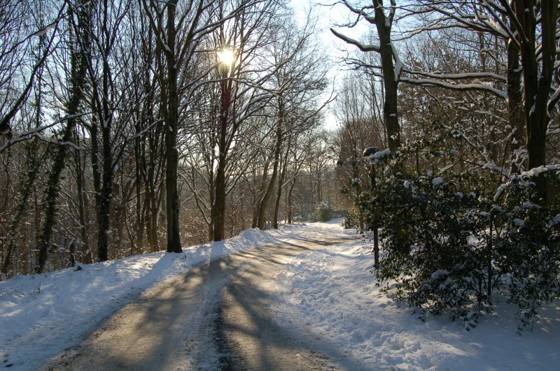 Spaziergang durch den botanische Garten in Bochum