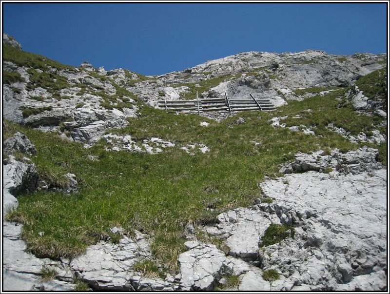 Steil nach oben: Impressionen von der Fahrt zum Pilatus Kulm mit der Zahnradbahn aus Alpnachstad. (19.07.2007)