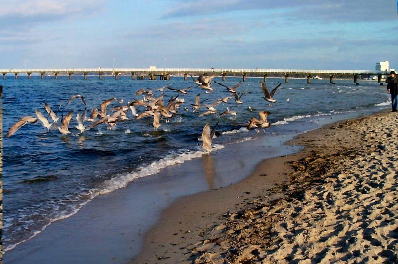 Strand  beim Ostseebad Timmendorfer Strab