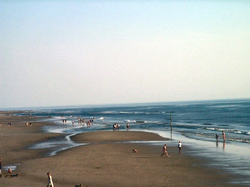 Strandwanderer, Strand von St. Peter-Ording, Sommer 2003