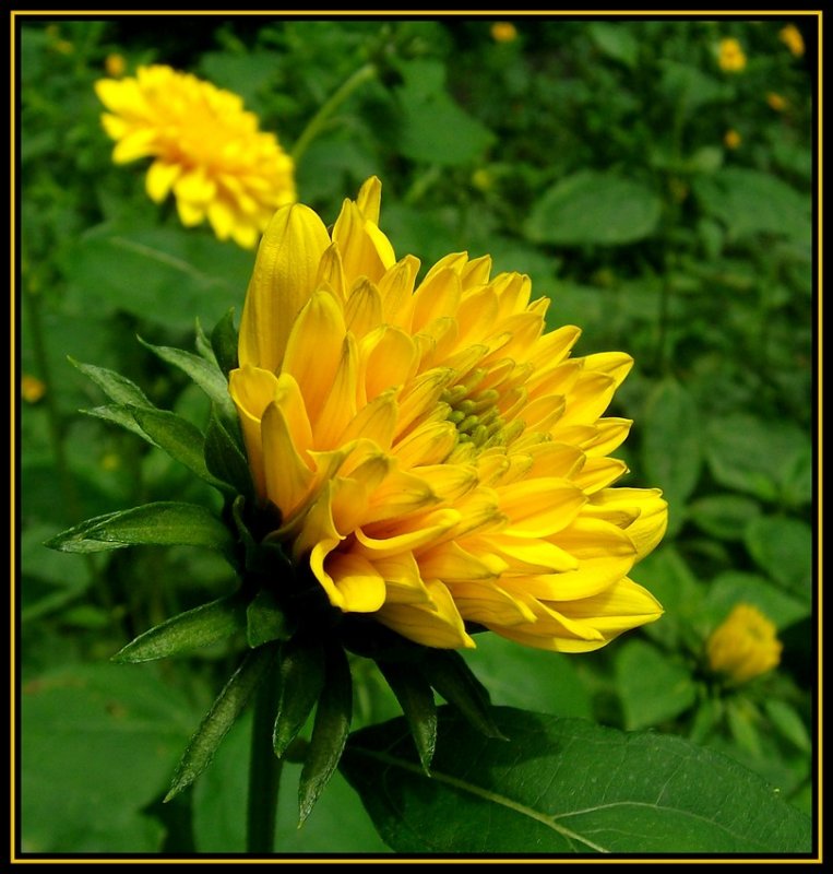 Streifzug durch den Botanischen Garten der Ruhr-Universitt Bochum