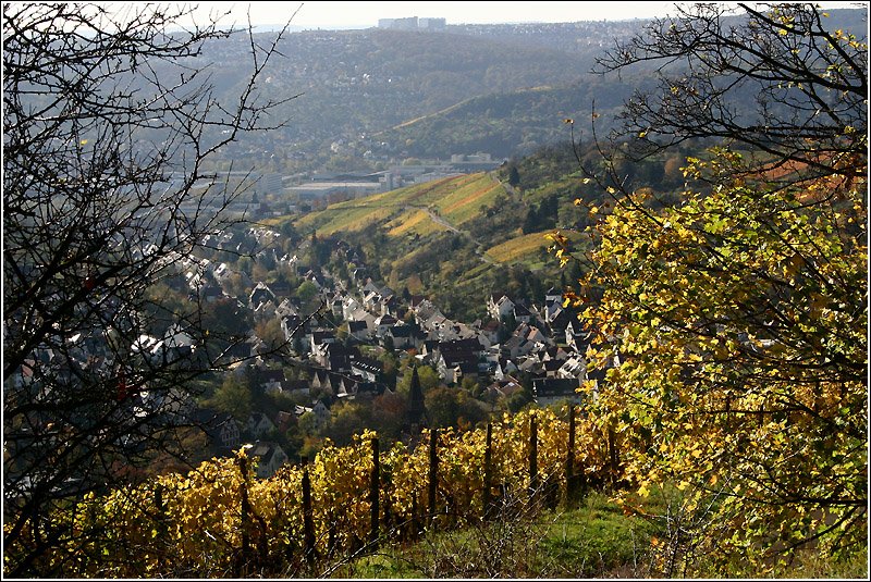 Stuttgarter Landschaft im Herbst: im Vordergrund im Tal liegt der Stuttgarter Weinbauort Uhlbach, daran anschließend mit den Industrieanlagen im Neckartal erkennt man Teile von Obertürkheim. Auf der gegenüberliegenden Talseite befindet sich Hedelfingen. Darüber zieht sich Lederberg und Heumaden den Hang hinauf. In der Mitte oben sind die Wohnhochhäuser  Asamwald  zu erkennen. Rechts davon auf der Höhe liegt der Stuttgarter Vorort Sillenbuch. Alles gehört zum Stadtgebiet Stuttgart. 

06.11.2005 (M)