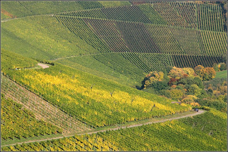 Stuttgarter Weinberglandschaft bei Uhlbach. 

11.10.2008 (M)