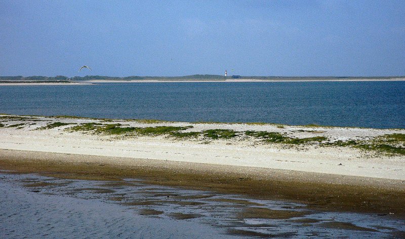 Sylt, Blick zum Leuchtturm Ellenbogen, 2003