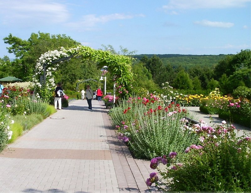 Tage der Rosen 2004, ege Erfurt