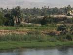 Nil Landschaft bei Luxor