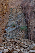 Die Felsenlandschaft auf der Sinai-Halbinsel.