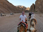 Unterwegs auf dem Kamel durch einen Canyon. (Sinai-Halbinsel, Dezember 2018)