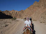 Unterwegs auf dem Kamel durch einen Canyon.