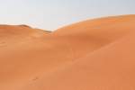 04.12.2012: Sanddnen aus feinstem rotbraunen Wstensand im Emirat Fujairah