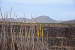 CIDADE VELHA, 24.03.2016, Blick ins Landesinnere bei Cidade Velha