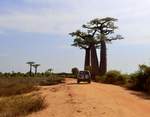 Blick auf die Nationalstraße N8, nördlich von Morondava auf Madagaskar.