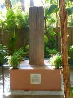 Der Jardin Majorelle ist Marrakeschs historischer botanischer Garten. Der bezaubernde Park wurde in den zwanziger Jahren des vorigen Jahrhunderts angelegt und geriet vorübergehend in Vergessenheit – bis er von dem Modeschöpfer Yves Saint Laurent und seinem Partner wiederentdeckt und restauriert wurde. Hier das  Mémorial Yves Saint Laurent . 28.12.2014