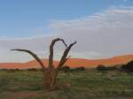 Sossusvlei in Namibia am 5-3-2009.