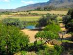 Garten und Dam bei der Geelhoutboom-Farm, talauswaerts. Kaptens Kloof, 16.03.2010