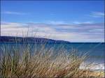 Australien - an der Ostkste in Hhe der Great Ocean Road.