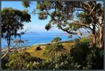 Blick aus den Hügeln auf die Apollo Bay, an der auch der gleichnamige Küstenort liegt.