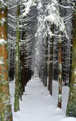 Centre Nature de Botrange / Naturparkzentrum Botrange (7/02/2013)  Eine von vielen Winterimpressionen im Hohen Venn.