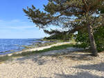 Sandstrand westlich von Gudhjem an der Nordküste von Bornholm. Aufnahme: 14. Juni 2023.