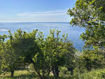 Bornholm/Dänemark - Blick auf die Ostsee vom Wanderpfad zwischen der Burgruine Hammershus ud dem Dorf Vang.