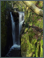 Der Stavehøl, Bornholms größter Wasserfall, liegt in einem Wald bei Østerlars.