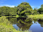 Ein Teich am Wanderweg zwischen der Burgruine Hammershus und der Kleinstadt Allinge-Sandvig. Aufnahme: