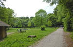 »Tumlepladsen« (auf deutsch: »Tobe-Platz«) im Riis Skov von Aarhus.