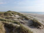 Dünen und Sandstrand bei Stadil, Mitteljütland (25.07.2019)