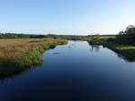 Gudena Fluss bei Svotrup, Mitteljütland (20.09.2020)