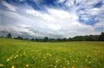 Fuglesøparken südlich von Vojens (Auf deutsch: Woyens) in Dänemark. Aufnahmedatum: 18. maj 2013.