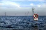 Überfluteter Wattweg nach Mandø - eine dänische Insel im Wattenmeer. Gerade im Winterhalbjahr speziell von Dezember bis Januar erreichen die Windgeschwindigkeit an der Nordsee bei einem Orkantief locker 11 / 12, für uns Küstenbewohner an sich nichts Besonderes. Der Weg nach Mandoe kann aber in diesem Falle völlig unpassierbar werden, da hilft dann eben nur Warten auf besseres Wetter. Aufnahme 2. September 2006.