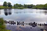 Fuglesøen (»Vogelsee«) südlich von Vojens (Auf deutsch: Woyens) in Dänemark. Aufnahmedatum: 18. maj 2013.