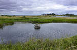 Boddenlandschaft an der Insel Årø in Nordschleswig.