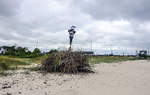 Dänisches Sankthans-Feuer mit der traditionellen »Hexe« am Strand vor Årøsund (Aarösund) in Nordschleswig.