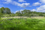 Landschaft am Gendarmenpfad zwischen Pattburg (dänisch Padborg) und Krusau (dänisch Kruså). Aufnahme: 28. Mai 2023.