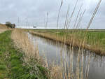 Am Marschpfad (dänisch Marskstien) im Tonderner Marsch (dänisch Tøndermarsken) in Nordschleswig/Sønderjylland. Aufnahme: 2. April 2024.