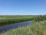 Kleiner Kanal am Limfjord, Jütland (08.06.2018)