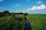 In Lnne Hede in Dnemark fliet dieser Bach durch die Heidelandschaft.