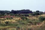 Die Landschaft um die Grosse Blauquelle. Aufnahmedatum: 23. Juli 1972.