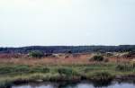 Die Landschaft um die  Grosse Blauquelle , die im  Rold Skov  (: Wald) in Himmerland, nicht weit von Arden und Skørping und 32 km südlich von Aalborg, liegt.