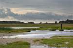 Kringelrøn auf der Insel Læsø. Aufnahmedatum: 5. Juli 2012.