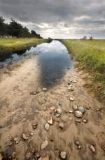 Kringelrøn auf der Insel Læsø. Aufnahmedatum: 5. Juli 2012.