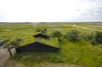 Kringelrøn auf der Insel Læsø.