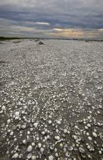 Vesterø Strand auf der Insel Læsø. Aufnahmedatum: 12. Juli 2012.