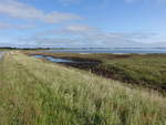 Wiesen bei Tødsø am Westrand des Limfjord (20.09.2020) 