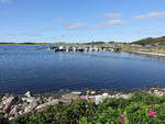 Limfjord bei Tissinghuse, Nordjütland (20.09.2020)