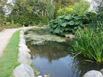 Kleiner Teich im Botanischen Garden von Bangsbo (23.09.2020)