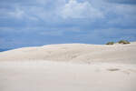 Die R�bjerg Mile in D�nemark ist die gr��te Wanderd�ne Nordeuropas. Sie liegt im Norden J�tlands zwischen den St�dten Skagen und Frederikshavn. Die beeindruckende Naturlandschaft besteht aus rund 3,5 Millionen Kubikmeter Sand und erinnert an eine ech ...