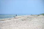 Der Strand bei Tisvilde Hegn in Nordseeland.